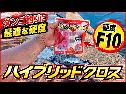 ダンゴ釣りに最適な硬度がF10の理由!ハイブリッドクロスで実釣検証【紀州釣り.チヌ.クロダイ】