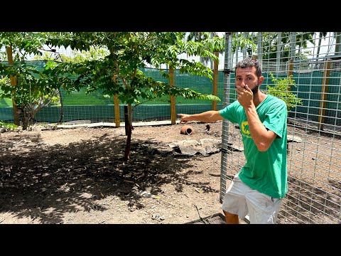What Happened To My DEER? Welcome to Blake’s Exotic Animal Ranch
if you’re new here, I would definitely subscribe and clic