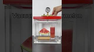 Vacuum vs Watermelon
