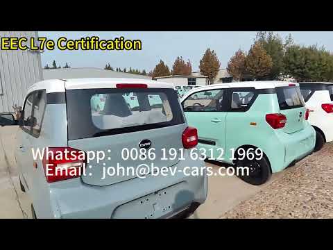 EEC L7e Certification with front 2 seats 90km speed