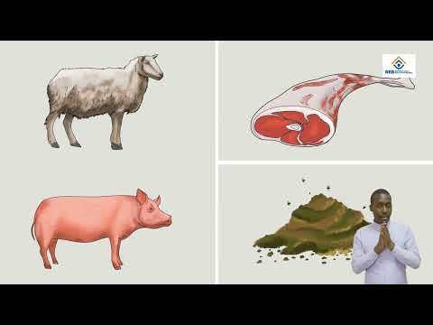 REB/PH2/ PP/ANIMATION/EP5/DISCOVERY