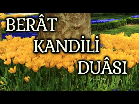 Berat Kandili Duası | Berat Gecesinde günahlarımızı mağfiret eyle Allah'ım. Âmin Yâ Rabbi!