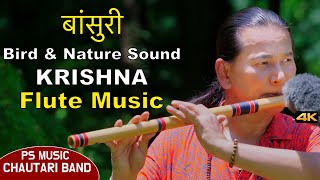 Krishna Flute Music | Flute Music | Bansuri Dhun | Birdsound | Beautiful Nature | Instrumental Music