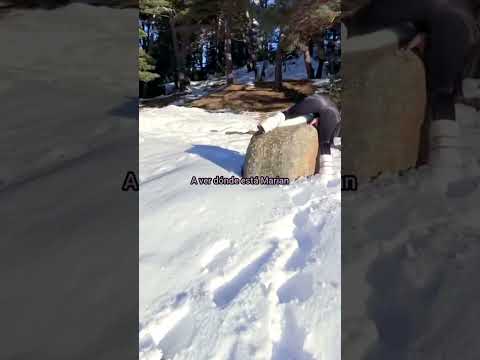 Vamos a jugar al escondite #viral #fyp #amor #f #follow #love #trending #shorts