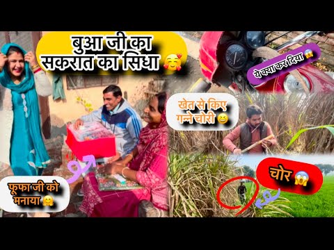 हम आज बुआ का सकरात का सिधा देके आए 🥰 ओर मना के आए 😇 | खेत से किए हमने गन्ने चोरी 😂 | #viral #vlog