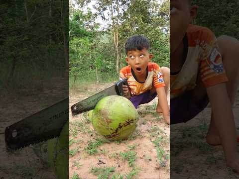 Survival Skills: Amazing Man with Coconut Skills #outdoors #survival #camping