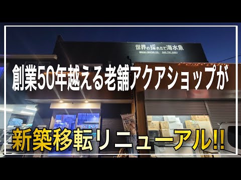 創業50年の超老舗アクアショップが新築移転してリニューアルオープン!!　日海センター　aquarium　アクアリウム　海水魚　金魚　熱帯魚　サンゴ　水槽