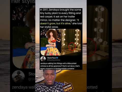 #zendaya brought the same tiny lucky plant to every #fitting and #redcarpet in 2017