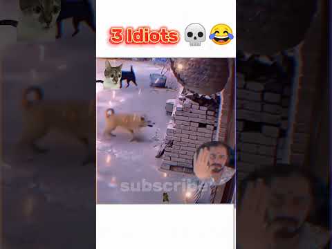 #funny #comedy #ytshorts #viral