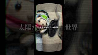【 #太陽が昇らない世界 / #Aimer 】 あまりにも良 #歌ってみた #shorts #鬼滅の刃  #パペット