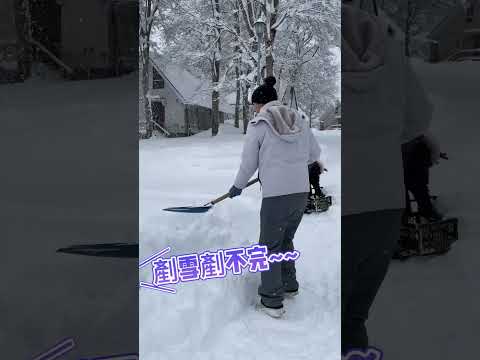 #日本山形縣 雪景超美!! 安安決定在這裡剷雪不走了~~｜食尚玩家魚肉鄉民 #shorts