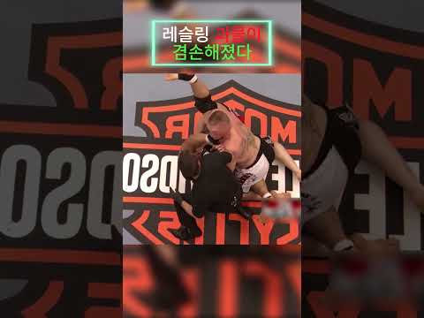 브록 레스너 진짜 파이터인가 가짜인가 ⁉️