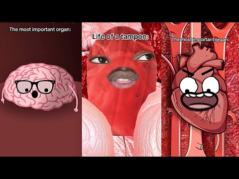 *1+ HOUR* Dimpey6 Funny Shorts Videos | Dimpey6 Videos Compilation 2025
