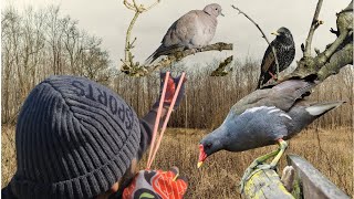 Slingshot/Catapult Hunting Wild Birds in Jungle❗️