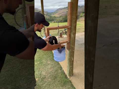 Look at the genius idea he came up with to wash and dry clothes 😲