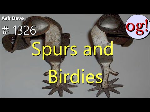 Spurs and Birdies (#1326)