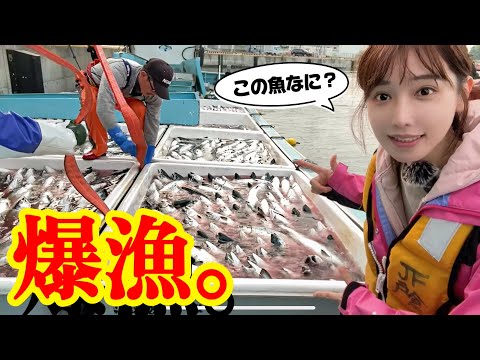 【宮城出張】去年に出会った稚魚が「最高の魚」になっていました。