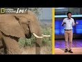 Conservation and the Ivory Trade