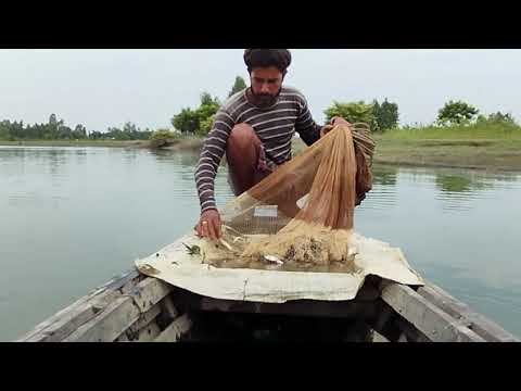 Natural Village River Fishing Video - Cast Net Fishing Video