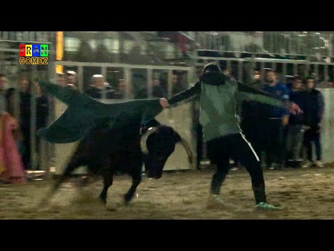 Enfundadas Hermanos Belles 2025 - Benicassim / Benicasim (Castellon) Toros Fran Gomez Bous Al Carrer