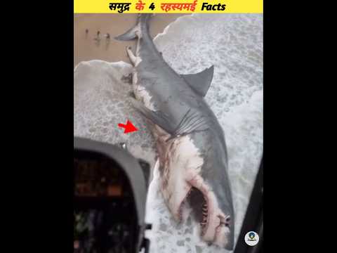 Four most mysterious sea facts #viral