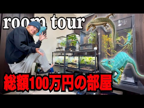 【ルームツアー】