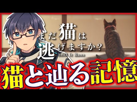 thumbnail_b20rJCkfceg