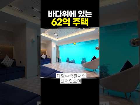 바다위에 있는 62억 주택