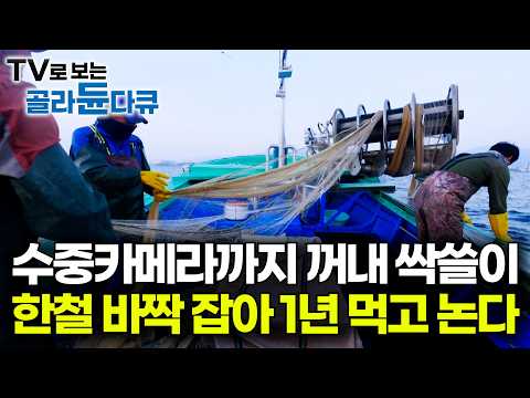 어군탐지기에도 안 잡히더니 한 상자에 35만 원. 결국 수중카메라까지 동원해 조업했더니｜한철 조업으로 1년을 먹고 신다는 가을 겨울 제철 생선 양미리｜바닷가 사람들｜#골라듄다큐