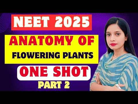 Anatomy Of Flowering Plants - One Shot | part-2 | NEET 2025 | Hand written notes | NCERT