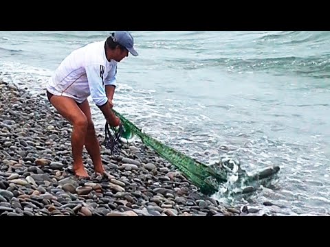 El mar les tenía una sorpresa... ¡Mira la pesca que sacaron!