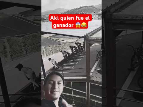 Quien pudo haber ganado #regionalmexicano
