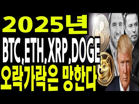 비트코인 도지코인 리플코인  🔥2025년 BTC ETH XRP DOGE 오락가락하면 망합니다🔥