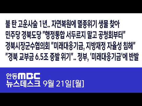 뉴스데스크 / 2026.09.21(월) / <strong>안동MBC</strong>