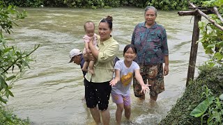 Cook Vermicelli and Spring Rolls With Parents To Enjoy - Harvest Moss For Ducks & Chickens To Eat