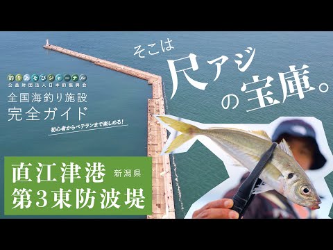 釣り場の実力検証！日本海・尺アジへの最短コース。【新潟・直江津港】