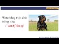 Understanding Common Phrases