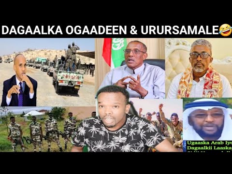 HADALKII GARAAD ABDULAHI O RUMOBAY, DAGAALKA OGAADEENIYA & URUR SAMAALE QAYLADA MEDIA KABAXAYSA,