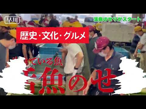チャンネル紹介