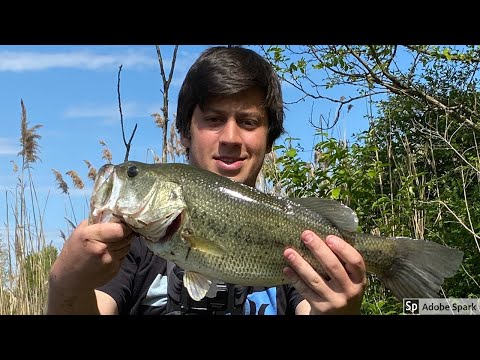 MONSTER Pennsylvania Bass Caught While POND HOPPING! (near Philadelphia, PA)