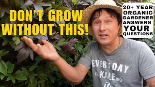 The Most Powerful Soil Improver I’ve Ever Used + Organic Gardening Q&A