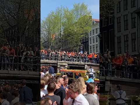 ‘Verdachte verkrachting Koningsdag trok zich eerder af in café’ #telegraaf #koningsdag