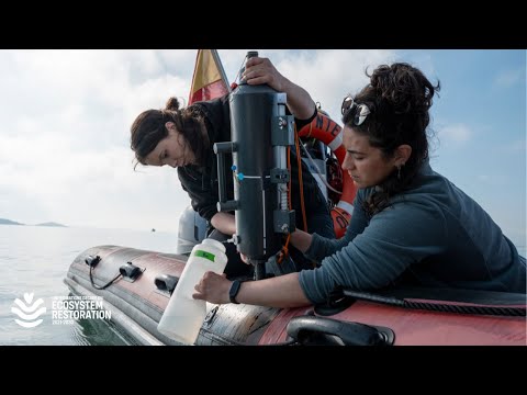 What it takes to bring Europe’s largest salty lagoon back to life | RESTORE Official Trailer