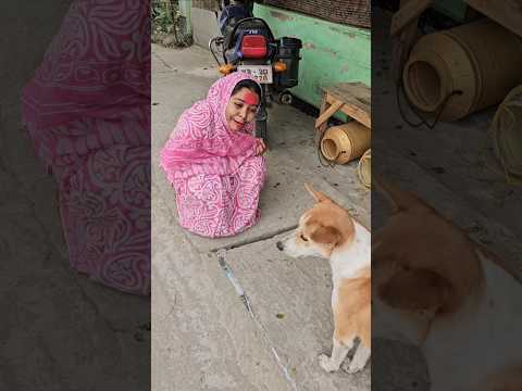 পাড়ার কাকিমা মালতি VS রাস্তার কুকুর।🤣🤣