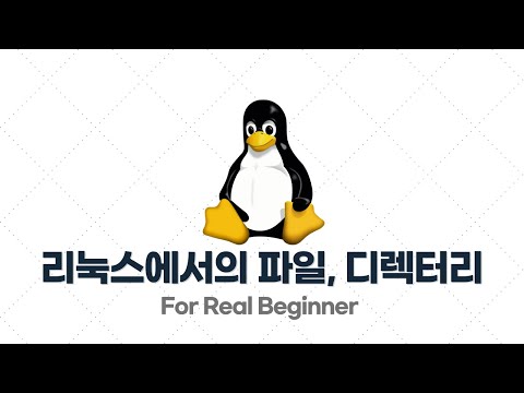 리눅스 입문·실전 - 2.1. 리눅스에서의 파일(file), 디렉터리(directory)의 의미