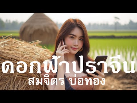 ดอกฟ้าปราจีน – สมจิตร บ่อทอง