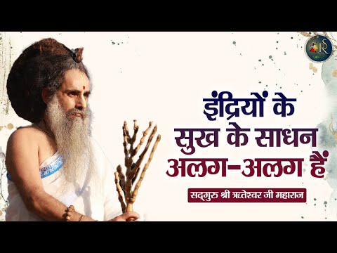 इंद्रियों के सुख के साधन अलग-अलग हैं ~ Shri Riteshwar Ji Maharaj | Pravachan | Rashmi Sharma