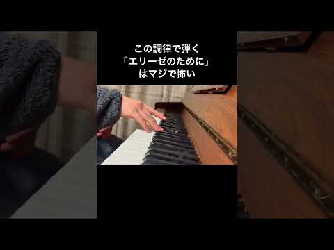 恐怖のエリーゼのために #piano