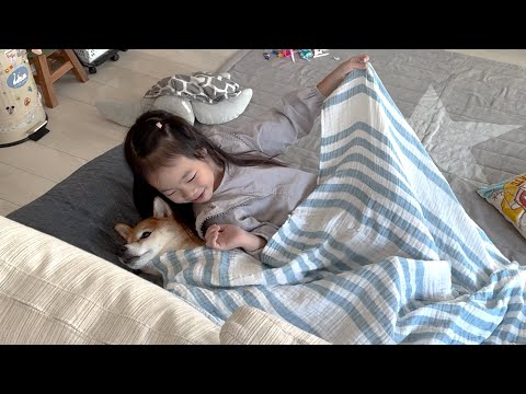 柴犬と一緒にお昼寝したい６歳娘