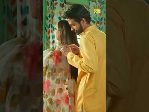 বিয়ের পরদিন বউকে শাড়ি পরিয়ে দিল বর
